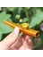 Mor Tarzı 1 Adet Metal Kazoo Hafif Taşınabilir Acemi Flüt Enstrüman Müzik Severler Nefesli Çalgı Basit Tasarım Hafif (Yurt Dışından) 4