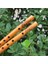 24CM Musical Instrument Flute Clarinet Bamboo Woodeese 6 Holes Student Traditional Color Vertical (Yurt Dışından) 3