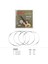 Orphee KX80 Stili Et Soprano Ukulele Ukelele Ukele Dizeleri Seti Naylon Ukulele Dizeleri Yedek Parça Yaylı Enstrüman Aksesuarları (Yurt Dışından) 2