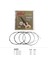 Orphee KX80 Stili Et Soprano Ukulele Ukelele Ukele Dizeleri Seti Naylon Ukulele Dizeleri Yedek Parça Yaylı Enstrüman Aksesuarları (Yurt Dışından) 3