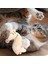 Ş Catnip Oyuncaklar Yavrusu Kangurular I I Oyuncak (Yurt Dışından) 3