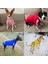 Evcil Köpek Giysiler Köpek Hoodie Fleigh-Sweat-Sweat-Shirt-Sweatshirt (Yurt Dışından) 5