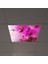60X60 LED Panel Sıva Altı Desenli Tekli 46510024SA 4