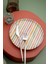 Moderna 6 Kişilik 19 cm Pasta Takımı Barcod 1
