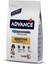 Dog Sensıtıve Salmon &rıce 3 kg 2
