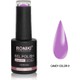 10 ML KALICI OJE CANDY COLOR 01
