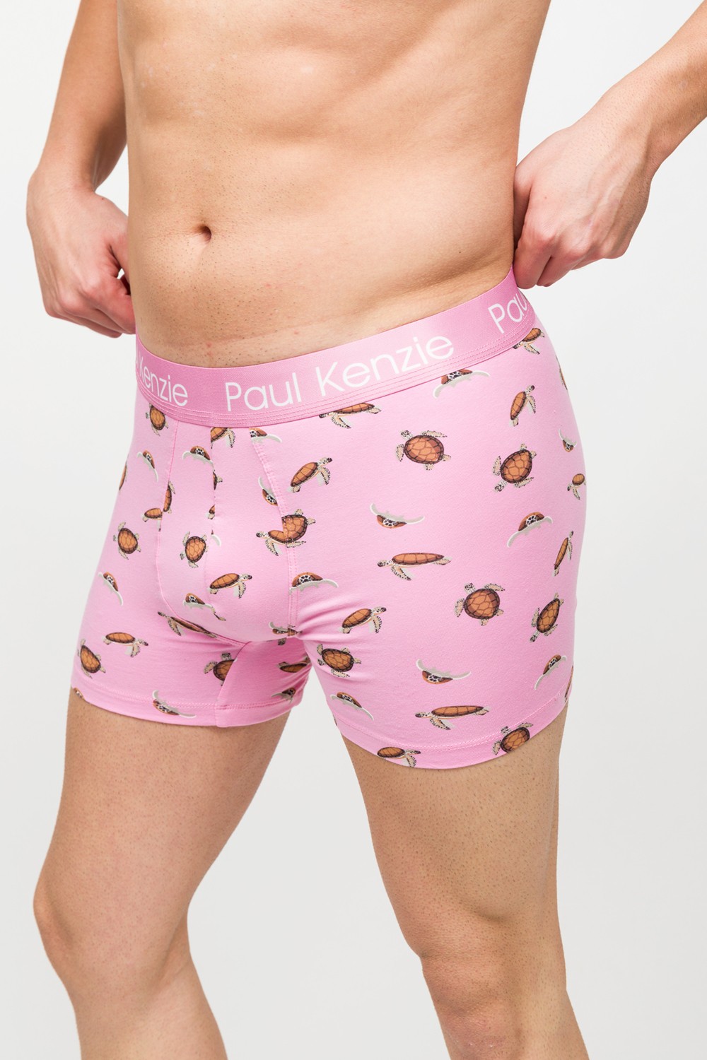 Paul Kenzie Desenli Erkek Boxer, Eco Characters, Turtley görsel 7