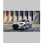 Contacall Toyota Yaris Tavan Oluk Fitili 17MM Genişlik 1,7 Metre Sağ Sol Takım Araç Bilgisi