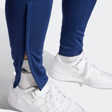 adidas Entrada 22 Training Erkek Eşofman Altı HC0333