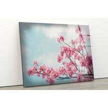 Myphotostation Japon Kiraz Çiçeği Temperli Cam Duvar Tablosu