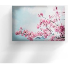 Myphotostation Japon Kiraz Çiçeği Temperli Cam Duvar Tablosu