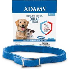 Adams Köpek Pire Tasma  Kene Tasma Dış Etkenlerden Korur Büyük Irk Küçük Irk 7 Ay Etkili Dog Flea Tick Collar