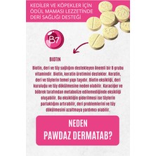 Pawdaz Dermatablet - Kediler ve Köpekler Için Ödül Maması Lezzetinde Deri ve Tüy Sağlığı Desteği