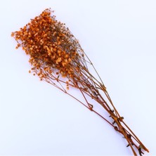 Gurmender Kuru Çiçek  Kurutulmuş Çiçek  Cipso 40 cm 20 gr Turuncu