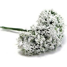 Gurmender Cipso Çiçek - Dökülen Cipso - 144'LÜ Beyaz