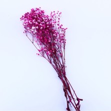 Depposite Kuru Çiçek  Kurutulmuş Çiçek  Cipso 40 cm 20 gr Pembe