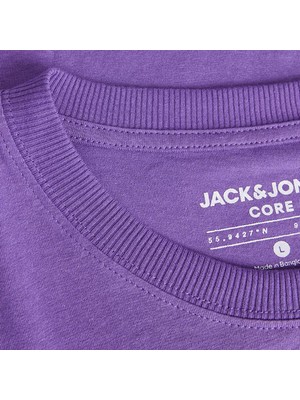 Jack & Jones Erkek T-Shirt 12253477