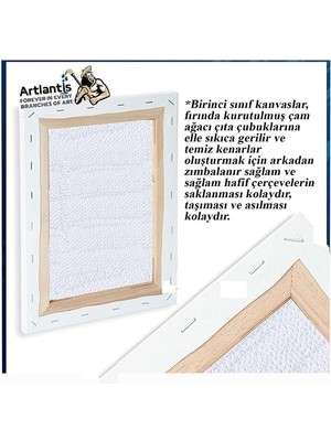 Art Picasso Yağlı Boya Hobi Boyama Seti 1 Paket 35X50 cm Tuval 12 Li Yağlı Boya Tüp Resim Paleti Fırça Seti 6 Lı