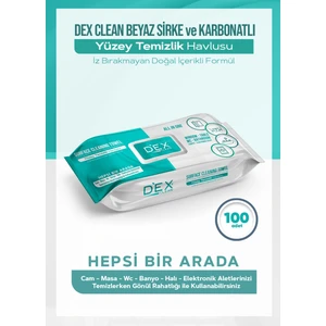 Clean Yüzey Temizlik Havlusu 100'LÜ