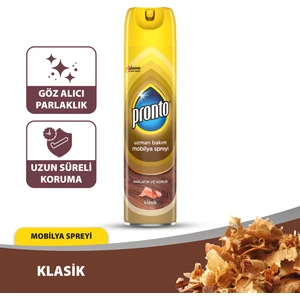 Mobilya Cilası - Regular 300 ml