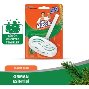 Mr Muscle Klozet Blok Orman Esintisi Tuvalet Temizleyici