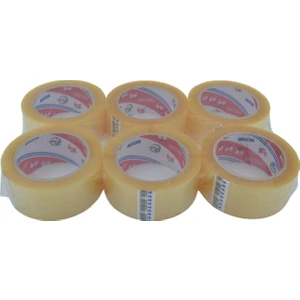 Vege Koli Bantı Aslan 45X100 Şeffaf 6'lı Paket