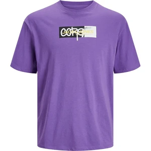 Jack & Jones Erkek T-Shirt 12253477