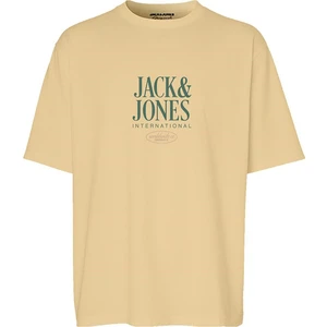 Jack & Jones Erkek T-Shirt 12255636