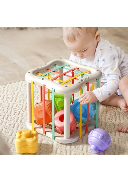 Sesela Bebek Oyuncak Yapı Taşları Erken Eğitim Bilişsel Ince Duyusal Eğitim Parmak Kavrama (Yurt Dışından)