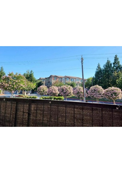 Balkon Demiri Perdesi Korkuluk Perdesi Siyah File 80 x 600 fırsatları