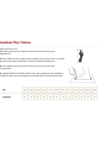 Kadın Sneaker Rahat Taban Günlük Ayakkabı modelleri