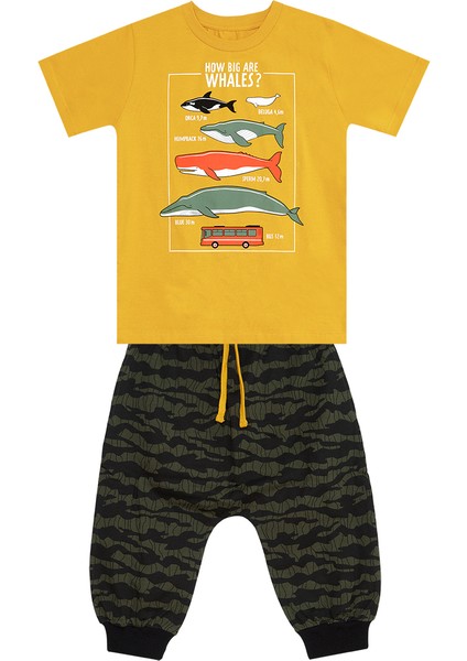 Big Whales Erkek Çocuk T-Shirt Kapri Takım modelleri