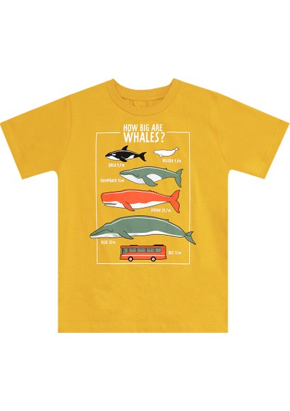 Big Whales Erkek Çocuk T-Shirt Kapri Takım indirimleri