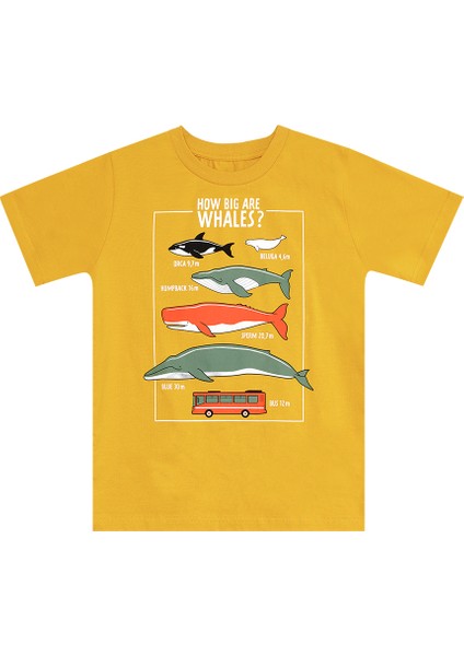 MSHB&G Big Whales Erkek Çocuk T-Shirt Kapri Takım