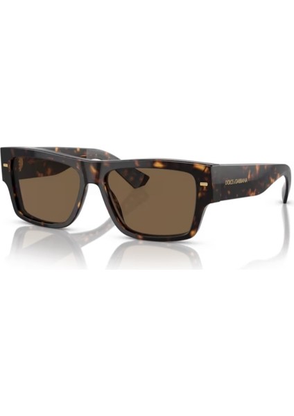 Dolce Gabbana 0DG4451 502/73 55 Erkek Güneş Gözlüğü