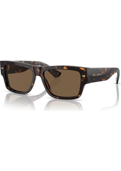 Dolce Gabbana 0DG4451 502/73 55 Erkek Güneş Gözlüğü fiyatları