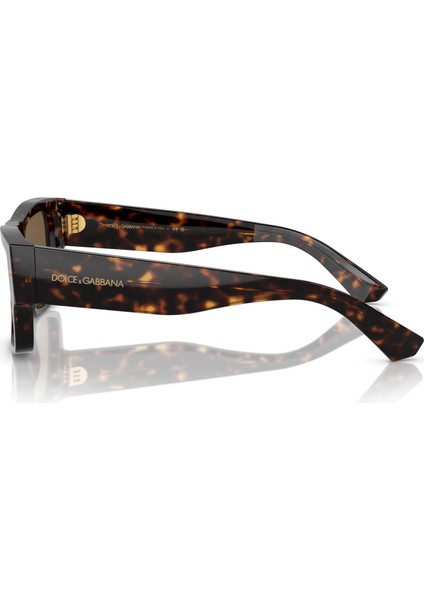 Dolce Gabbana 0DG4451 502/73 55 Erkek Güneş Gözlüğü fırsatları