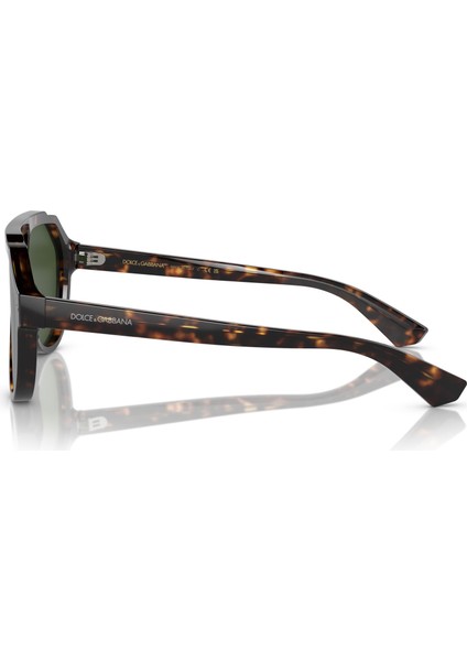 Dolce Gabbana 0DG4452 502/71 60 Erkek Güneş Gözlüğü fırsatları