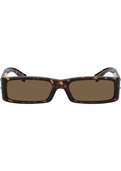 Dolce Gabbana 0DG4444 502/73 55 Erkek Güneş Gözlüğü indirimleri