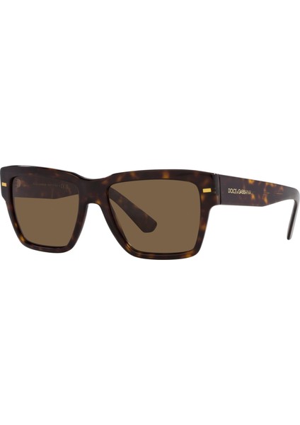 Dolce Gabbana 0DG4431F 502/73 55 Erkek Güneş Gözlüğü fiyatları