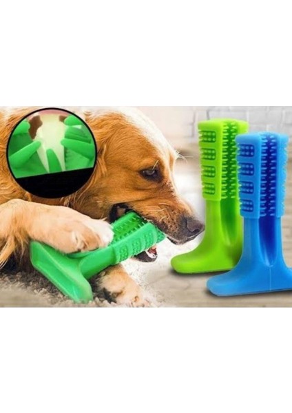 Köpek Diş Fırçası Isırma Aparatı Küçük Boy, Köpek Dişlik Yeşil