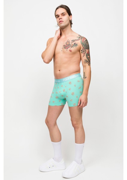 Desenli Erkek Boxer – Eco Characters – Elephantastic
