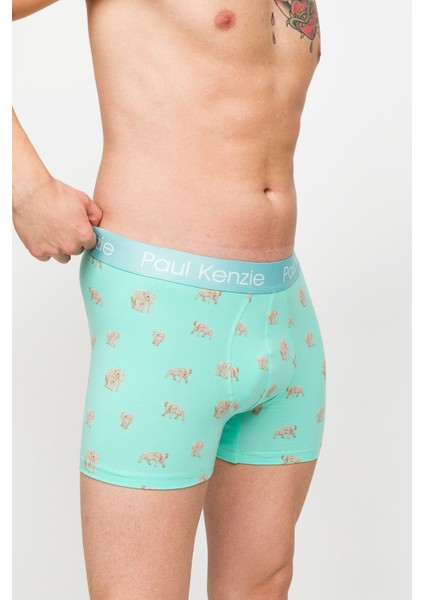 Desenli Erkek Boxer – Eco Characters – Elephantastic
