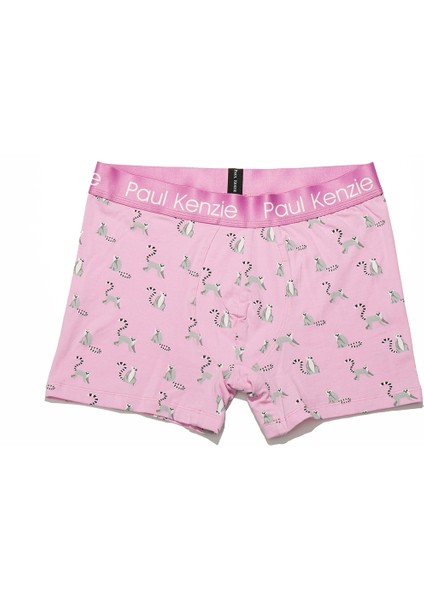 Desenli Erkek Boxer – Eco Characters – Lemur fiyatları
