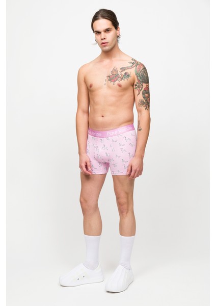 Desenli Erkek Boxer – Eco Characters – Lemur modelleri