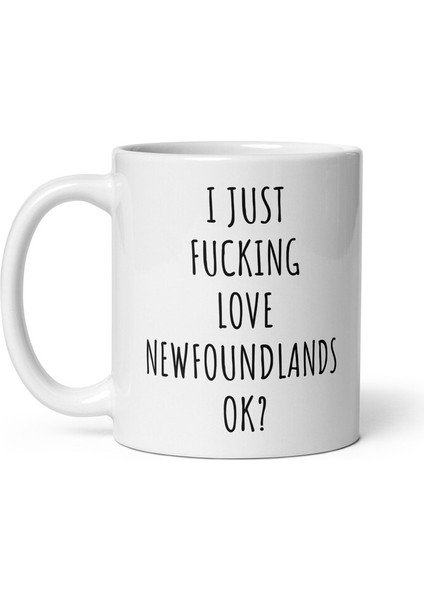 Newfoundlands'i Seviyorum Ok Mug - Newfoundland Kupa - Newfoundland Ingilizce Kupası fiyatları