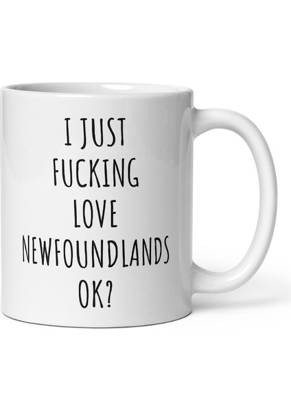 Newfoundlands'i Seviyorum Ok Mug - Newfoundland Kupa - Newfoundland Ingilizce Kupası modelleri