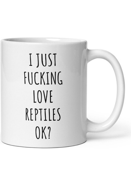 Ben Sadece Sürüngenleri Seviyorum Kupa - Sürüngen Kupa - Sürüngen Hediyesi - Ingilizce Kupa modelleri