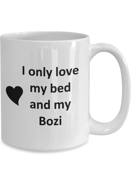 Bozi Aşık Kupa - Kedi Köpek Kuş Evcil Hayvan Adı - Aşk Bozi Adı Kahve Fincanı Ingilizce Kupa