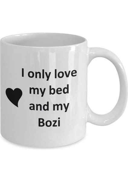 Bozi Aşık Kupa - Kedi Köpek Kuş Evcil Hayvan Adı - Aşk Bozi Adı Kahve Fincanı Ingilizce Kupa